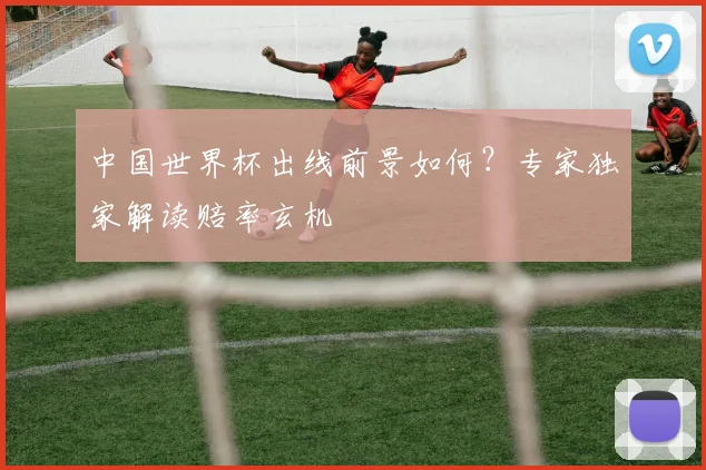 中国世界杯出线前景如何?专家独家解读赔率玄机