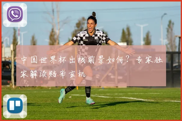 中国世界杯出线前景如何?专家独家解读赔率玄机