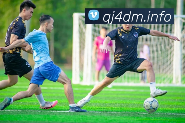 九游体育下载官网APP 封面图